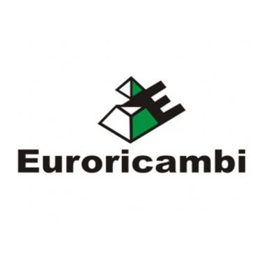 logo piese euroricambi